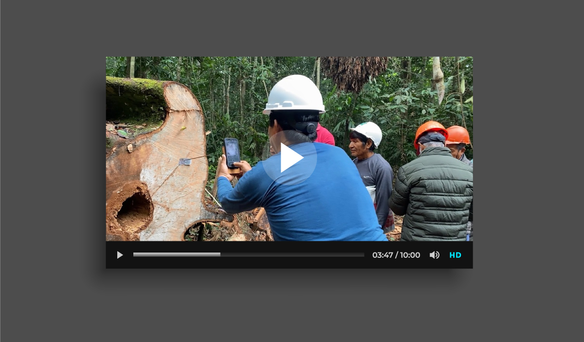 Aplicativo MiBosque | Madre de Dios