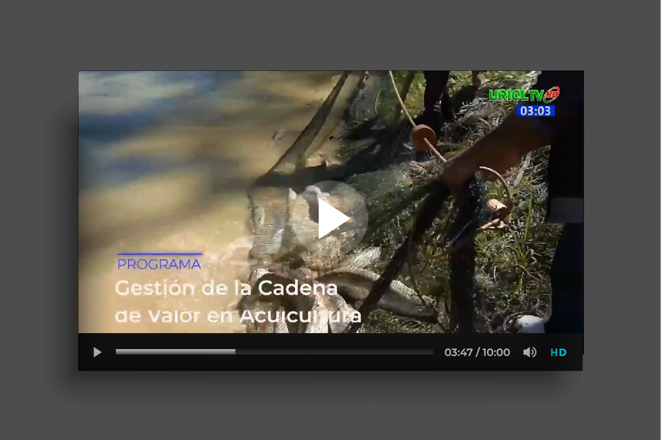 Producción audiovisual - Proyectos Acuícolas