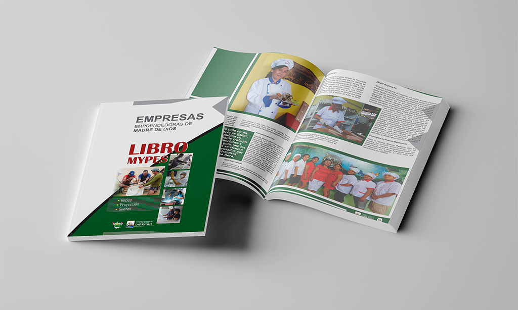 Libro MYPE Madre de Dios 2016