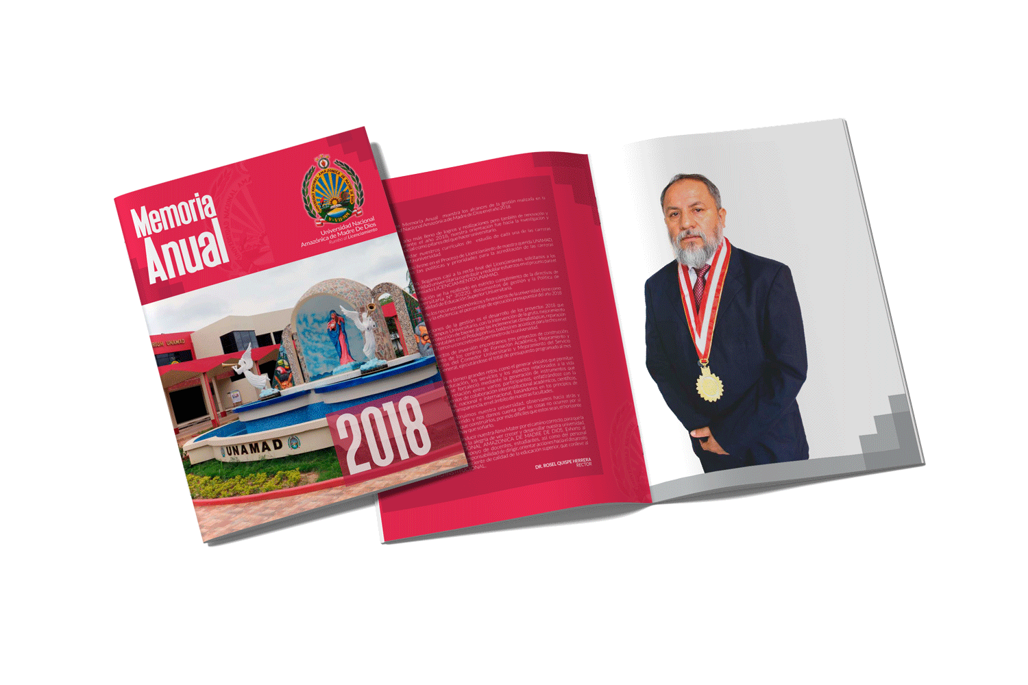 Memoria Anual - UNAMAD 2018